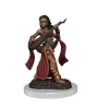 WizKids Pathfinder Battles: Female Human Bard Premium Painted Figure 2 WizKids Pathfinder Battles: Female Human Bard Premium Painted Figure -Larp wapens Winkel pathfinder battles female human bard premium paint