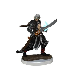 WizKids Pathfinder Battles: Male Elf Magus Premium Painted Figure