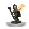 WizKids Pathfinder Battles: Male Gnome Druid Premium Painted Figure -Larp wapens Winkel pathfinder battles male gnome druid premium painte