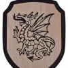 Speelgoedschild Draak -Larp wapens Winkel speelgoedschild draak